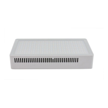 PATONA Premium Lampka LED RGB+Bi-Color SL-PB40R 40W