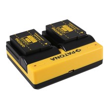 PATONA Dual Ladegerät f. Panasonic DMW-BLD10 Lumix DMCGF2 DMC-GF2 inkl. Kabel micro-USB