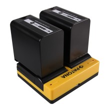 PATONA Dual Ladegerät f. Panasonic VW-VBD26 VBD58 VBD78 AGAC8EJ AG-AC8EJ AjHPX270 inkl. Mikro-USB Ka