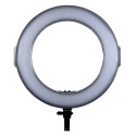 PATONA Premium Lampa pierścieniowa LED RL-320A do foto i wideo